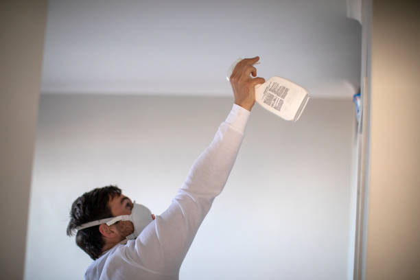 Best Mold Cleaning Services  in China, TX