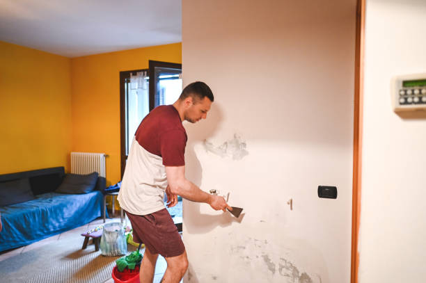 Best Same-Day Mold Removal  in China, TX